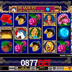 0877bet Rio de Janeiro - Bonus Terms